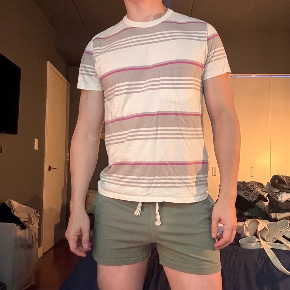 Levi's Cream and Pink Striped T-Shirt with Green Shorts